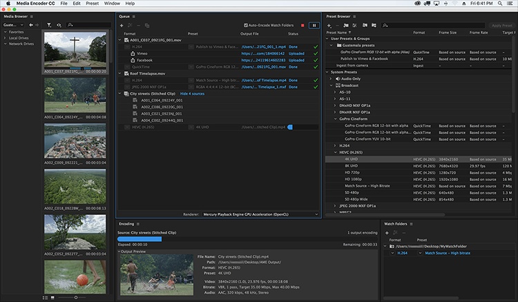 Adobe flash player media live encoder